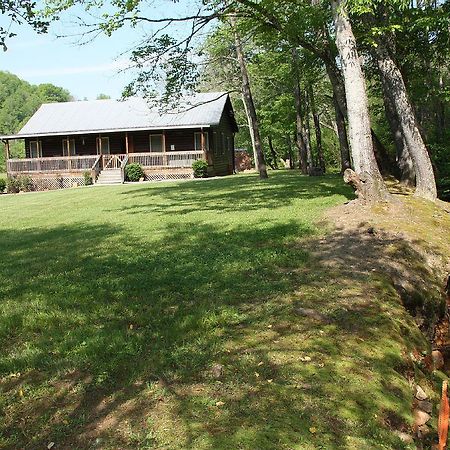 Villa Climbing Bear Creekside Cabin à Whittier Extérieur photo